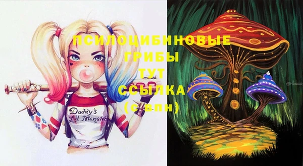 MDMA Алексеевка