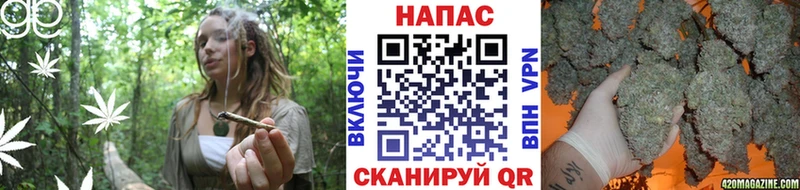 гидра маркетплейс  наркотики  Салехард  Бошки Шишки VHQ 